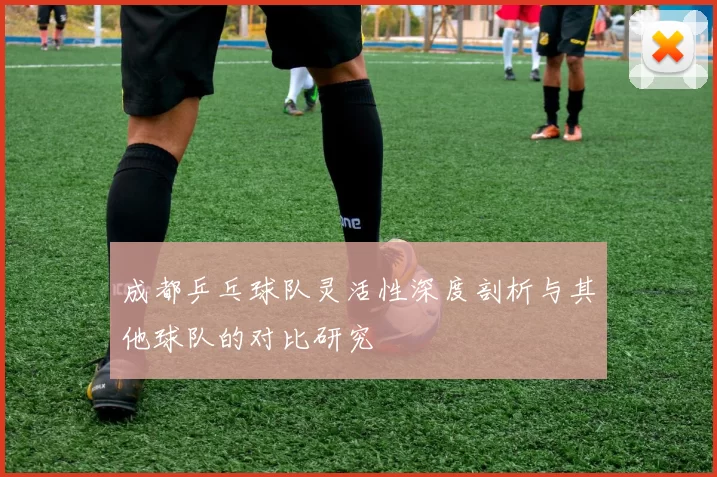 成都乒乓球队灵活性深度剖析与其他球队的对比研究