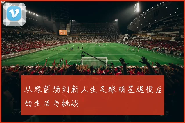 从绿茵场到新人生足球明星退役后的生活与挑战