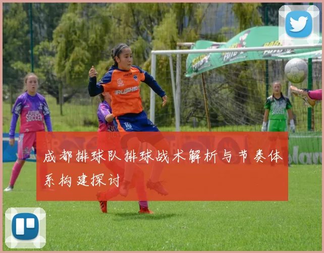 成都排球队排球战术解析与节奏体系构建探讨