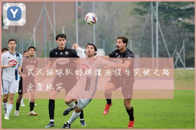 武汉排球队的辉煌历程与突破之路全景纪实