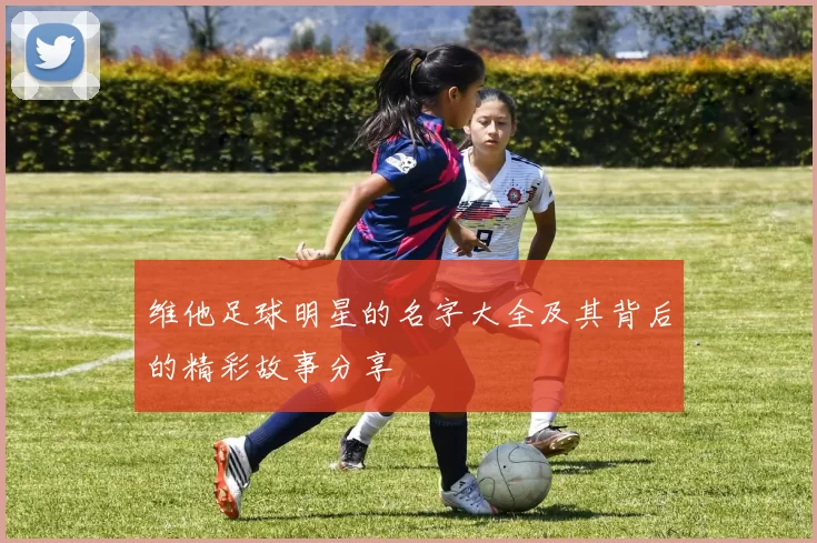 维他足球明星的名字大全及其背后的精彩故事分享