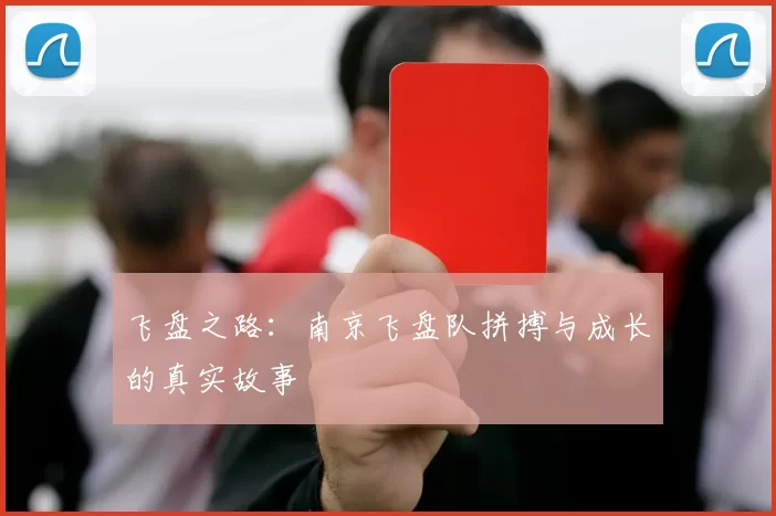 飞盘之路：南京飞盘队拼搏与成长的真实故事