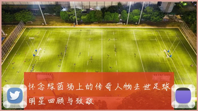 怀念绿茵场上的传奇人物去世足球明星回顾与致敬