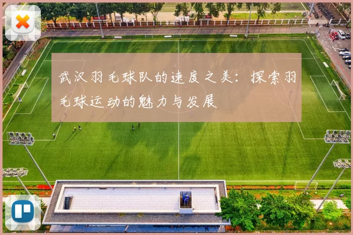 武汉羽毛球队的速度之美：探索羽毛球运动的魅力与发展