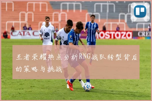 王者荣耀热点分析RNG战队转型背后的策略与挑战