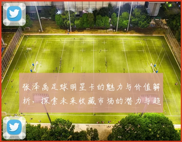 张泽禹足球明星卡的魅力与价值解析，探索未来收藏市场的潜力与趋势