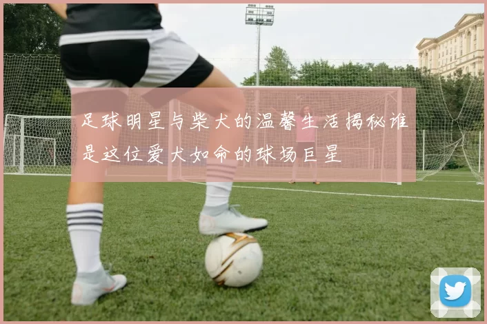 足球明星与柴犬的温馨生活揭秘谁是这位爱犬如命的球场巨星
