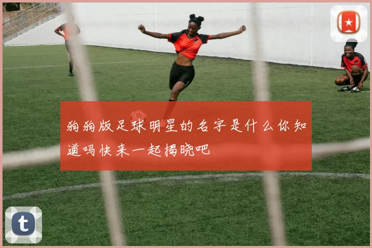 狗狗版足球明星的名字是什么你知道吗快来一起揭晓吧