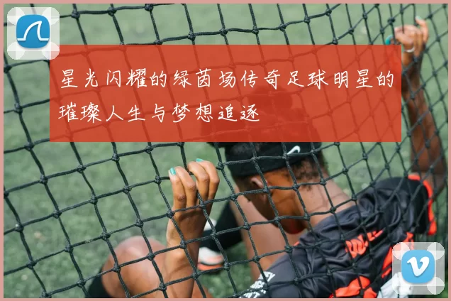 星光闪耀的绿茵场传奇足球明星的璀璨人生与梦想追逐