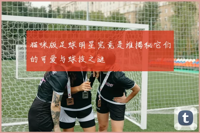 猫咪版足球明星究竟是谁揭秘它们的可爱与球技之谜