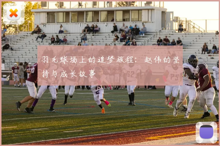 羽毛球场上的追梦旅程：赵伟的坚持与成长故事