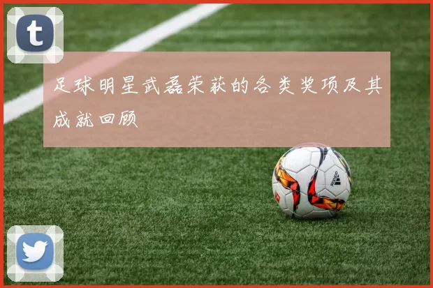 足球明星武磊荣获的各类奖项及其成就回顾