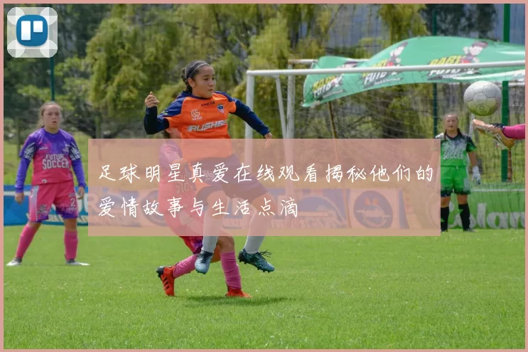 足球明星真爱在线观看揭秘他们的爱情故事与生活点滴