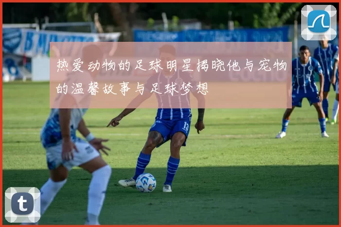热爱动物的足球明星揭晓他与宠物的温馨故事与足球梦想