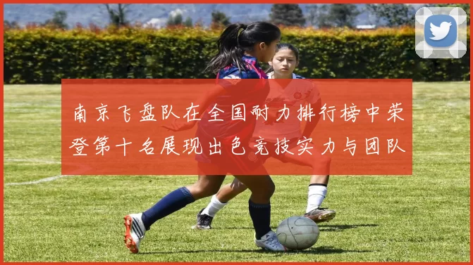 南京飞盘队在全国耐力排行榜中荣登第十名展现出色竞技实力与团队合作精神