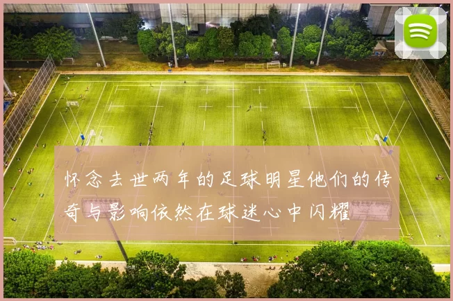 怀念去世两年的足球明星他们的传奇与影响依然在球迷心中闪耀