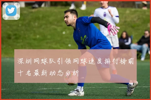 深圳网球队引领网球速度排行榜前十名最新动态分析