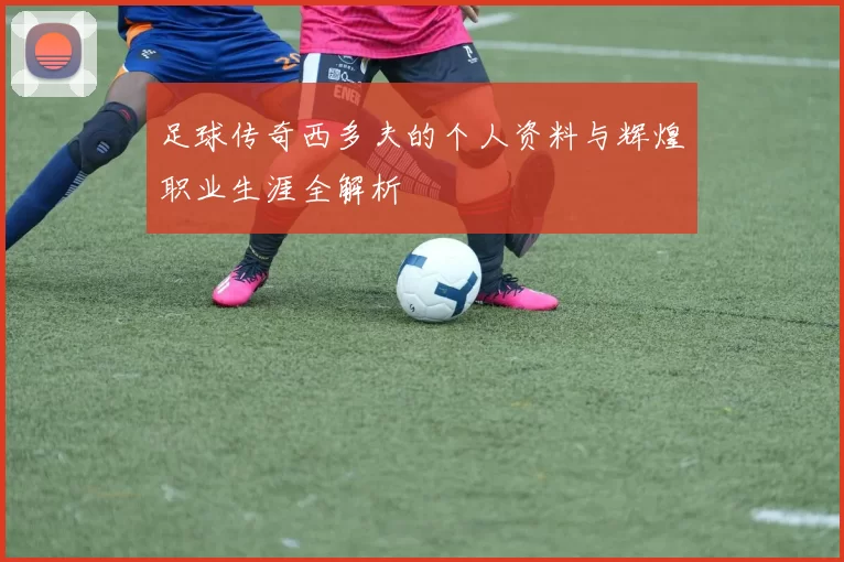 足球传奇西多夫的个人资料与辉煌职业生涯全解析