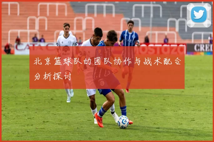 北京篮球队的团队协作与战术配合分析探讨