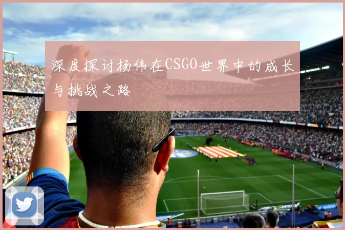 深度探讨杨伟在CSGO世界中的成长与挑战之路
