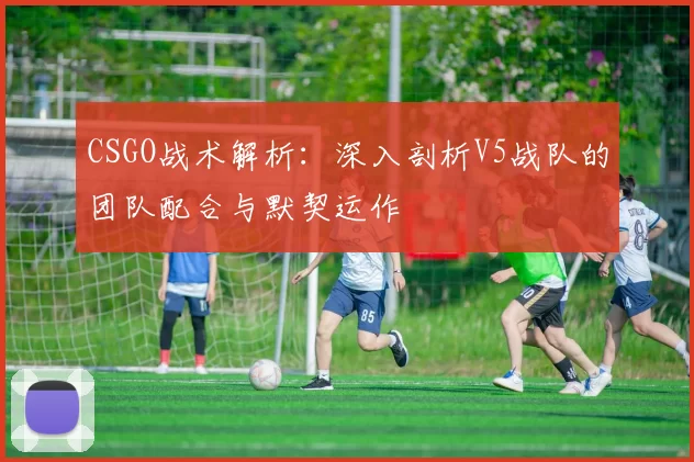 CSGO战术解析：深入剖析V5战队的团队配合与默契运作